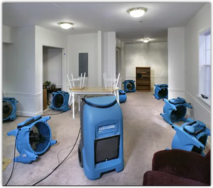 Water Damage Restoration services in Buckley, WA