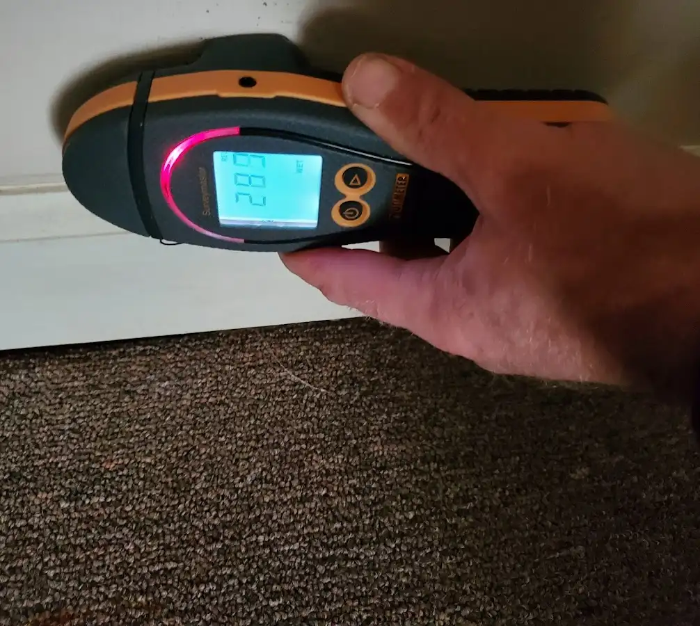 Moisture detection at baseboard during Sewage Cleanup & Sanitation in Buckley